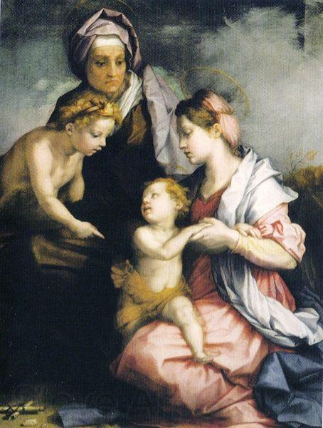 Andrea del Sarto Madonna col Bambino, Santa Elisabetta e San Giovannino Norge oil painting art